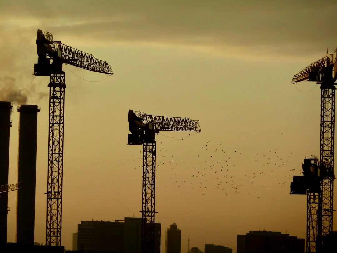 Esenler Yarısı Bizden başvurusu nasıl yapılır?